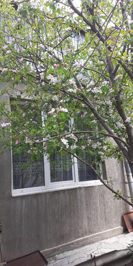 Guest House Otilia Gyumri Exterior foto